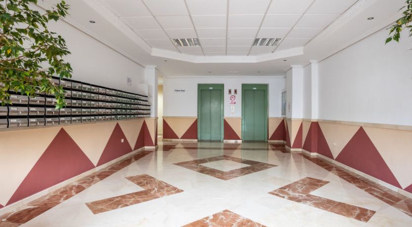 Photo of Flamingo on the south next to the beach