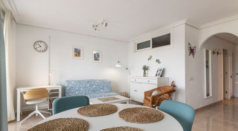 Photo of Flamingo on the south next to the beach