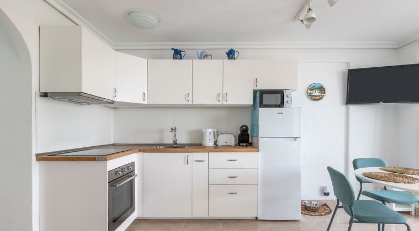 Photo of Flamingo on the south next to the beach