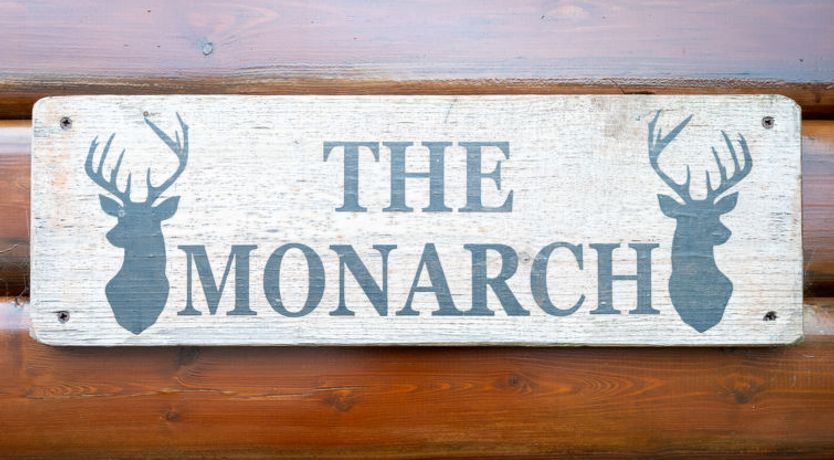 Photo of Monarch
