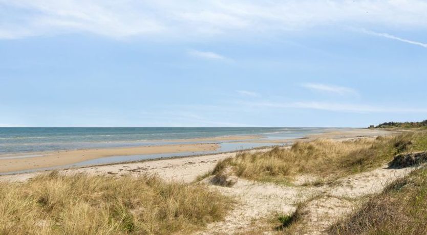 Photo of "Suometar" - 90m from the sea