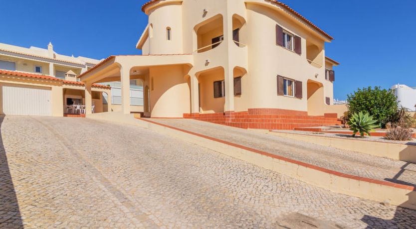 Photo of Flor de Maio