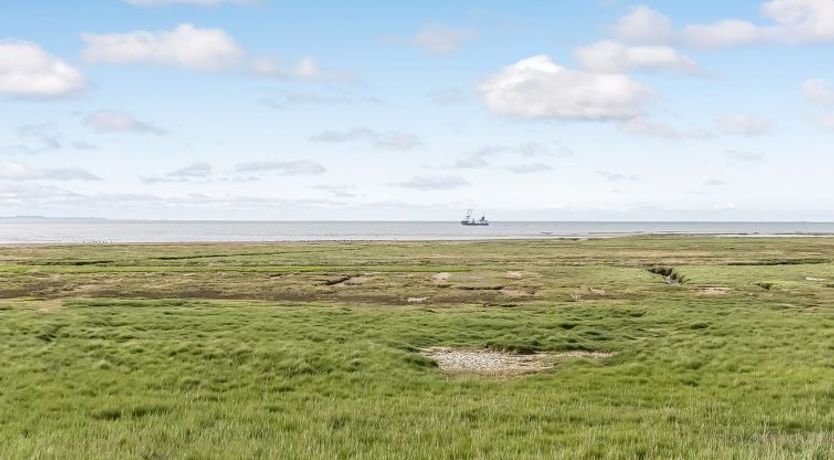 Photo of "Reinhold" - 1.9km from the sea