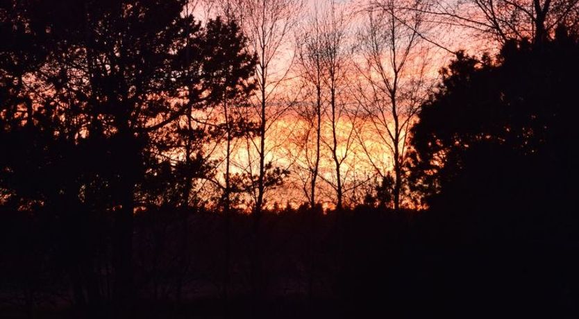 Photo of "Østmar" - 1.2km from the sea