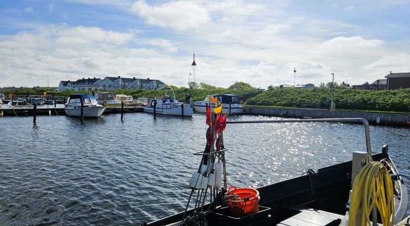 Photo of "Gundis" - 500m to the fjord
