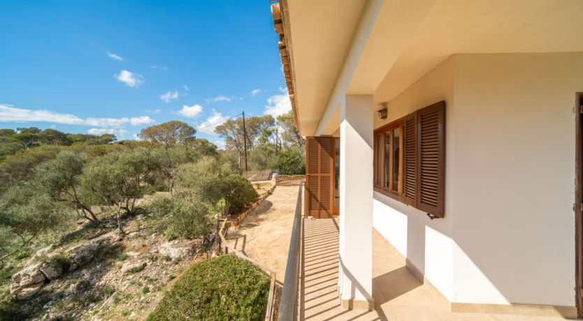 Photo of Cas Padrins de Santanyi