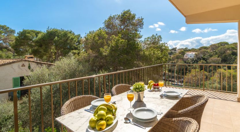 Photo of Cas Padrins de Santanyi