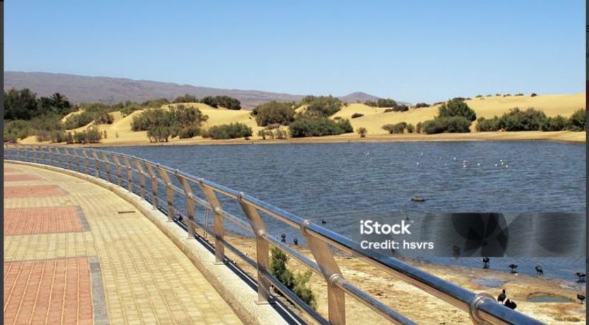 Photo of Oasis Serenity Villa 2