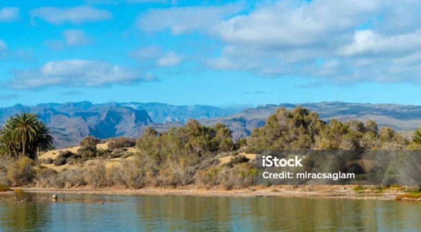 Photo of Oasis Serenity Villa 2