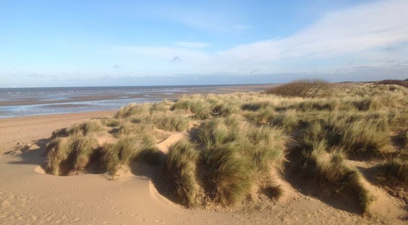 Photo of The Wood Stack