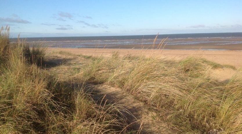 Photo of The Wood Stack