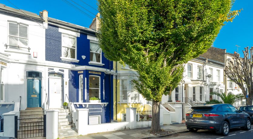 Photo of Shepherd's Heart