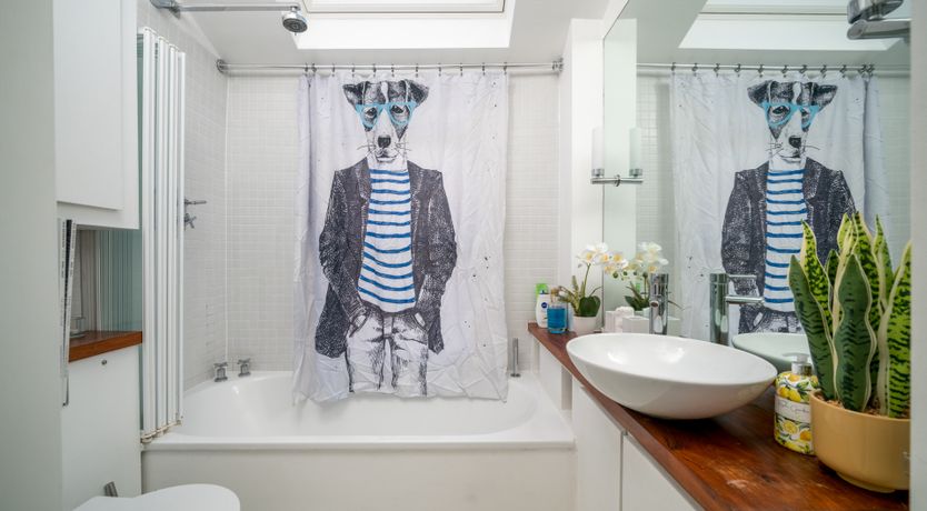 Photo of Shepherd's Heart