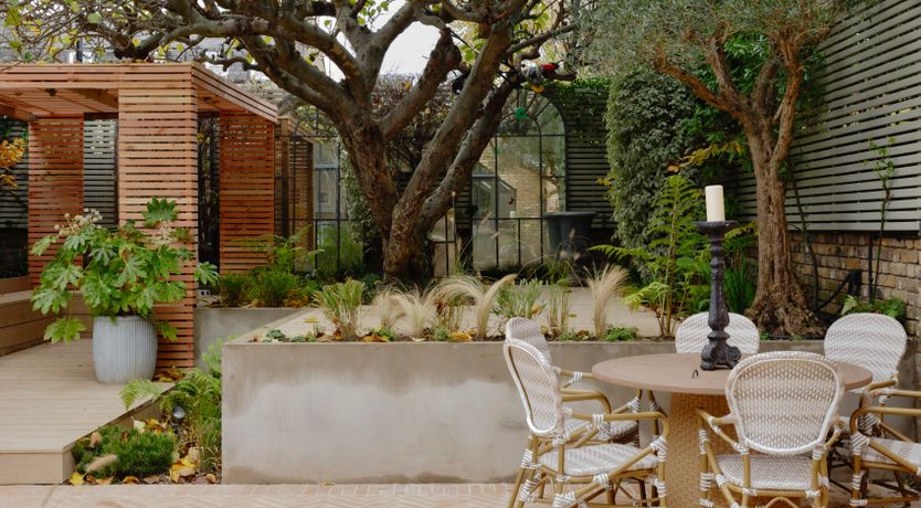 Photo of Apple Tree Air