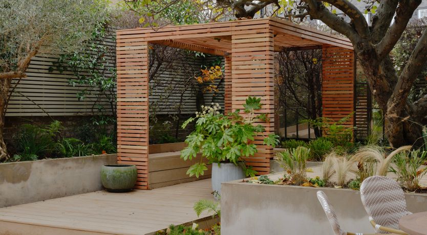 Photo of Apple Tree Air