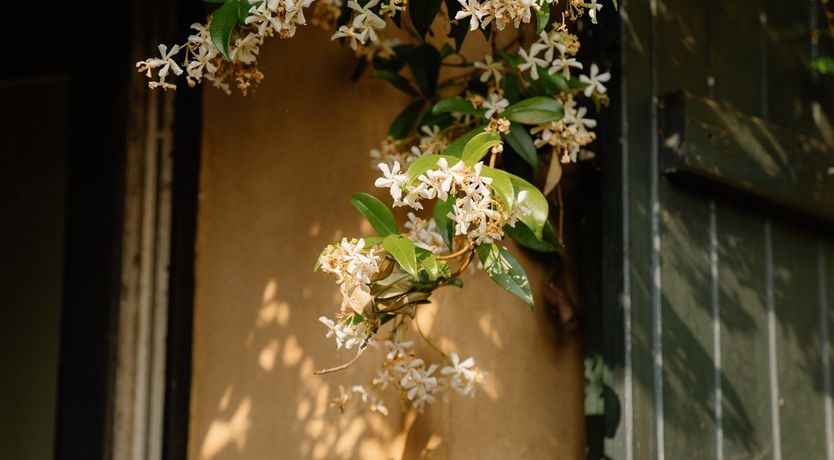 Photo of Pine & Rhone