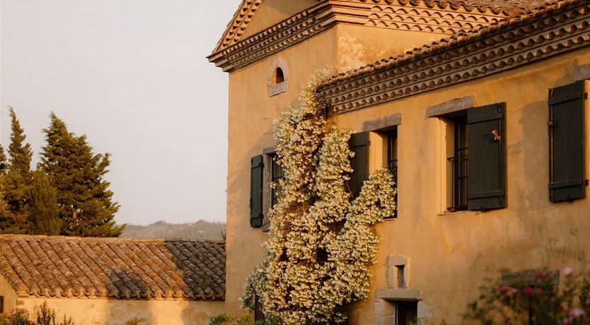 Photo of Pine & Rhone