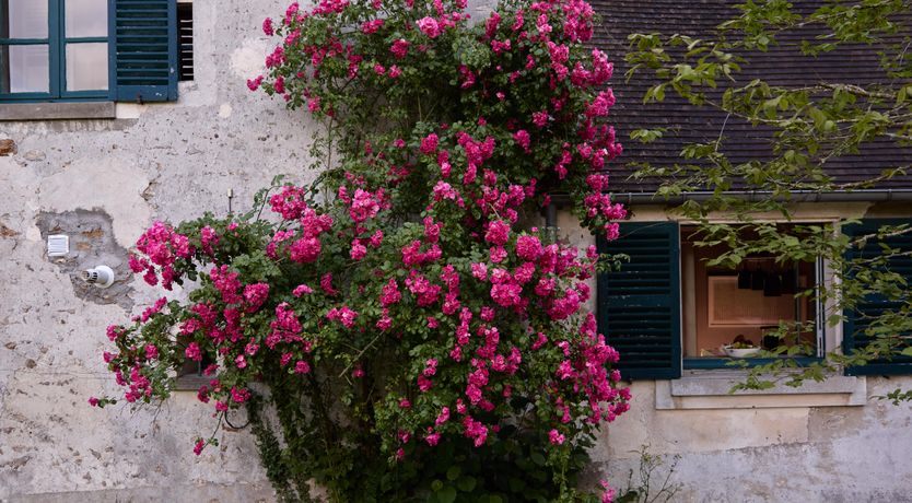 Photo of Hidden Splendour