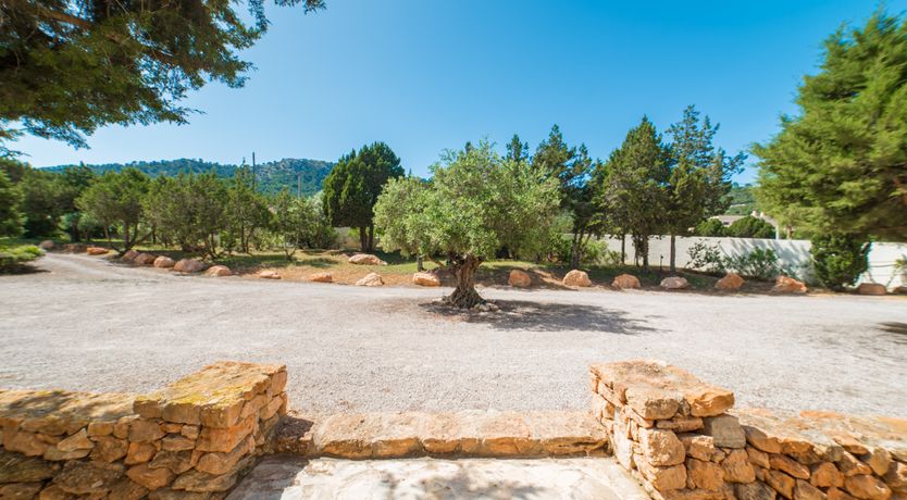 Photo of The Ibicencan Dream