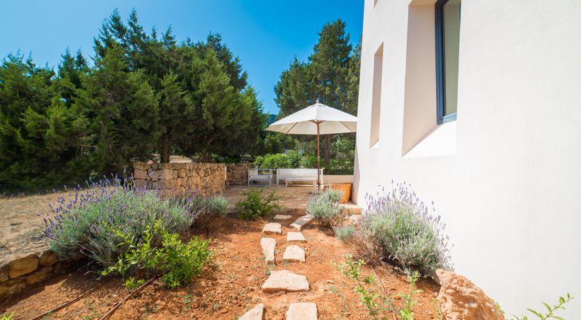 Photo of The Ibicencan Dream