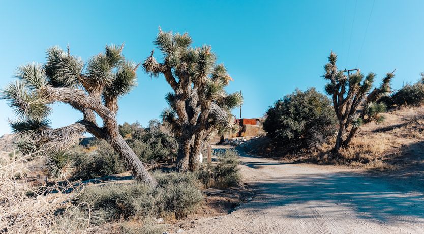 Photo of Ranch Of The Rising Sun