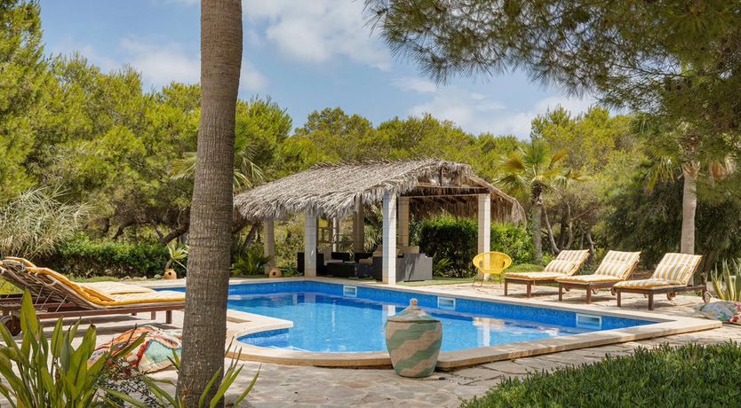 Photo of Seashell Heaven