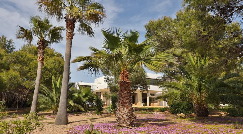 Photo of Seashell Heaven