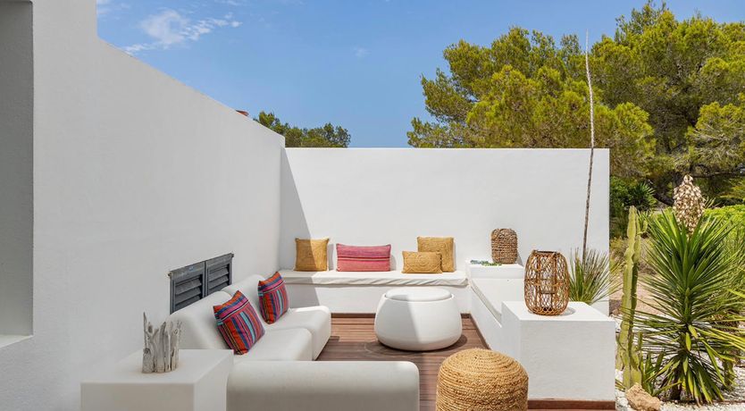 Photo of Seashell Heaven