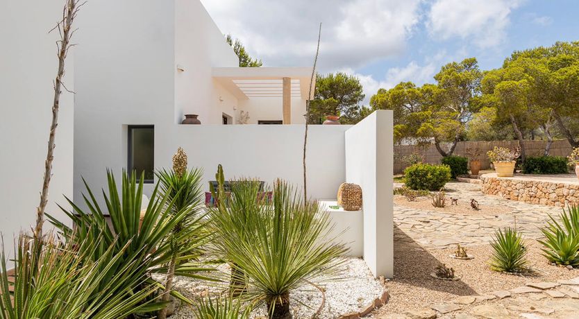 Photo of Seashell Heaven