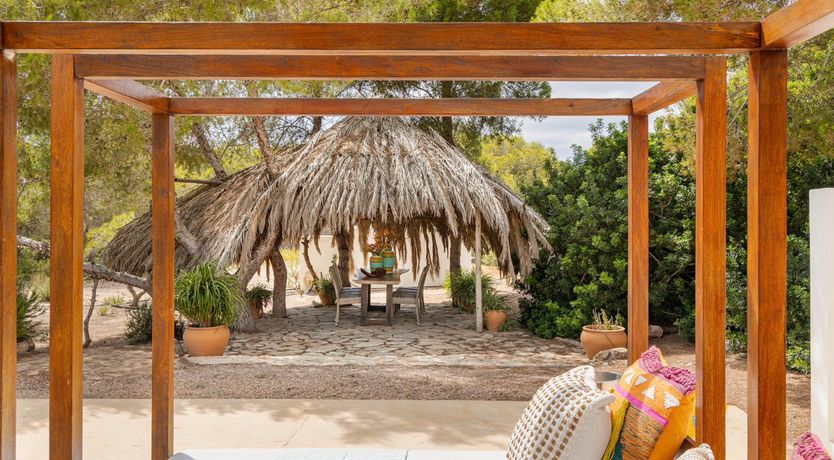 Photo of Seashell Heaven