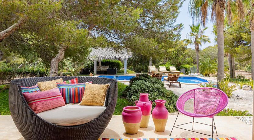 Photo of Seashell Heaven