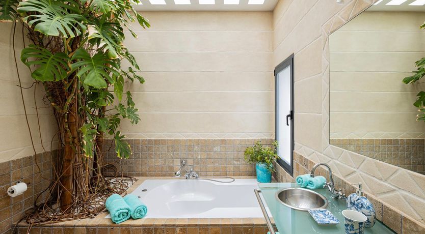 Photo of Seashell Heaven