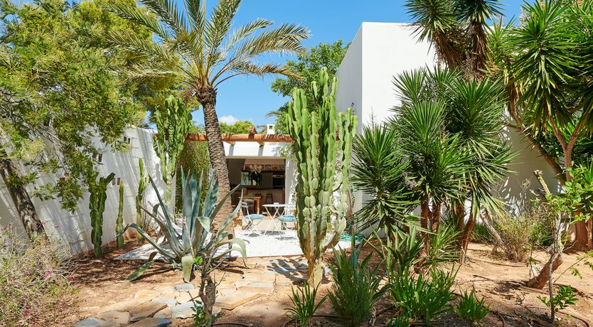 Photo of Ibiza Sea Breeze