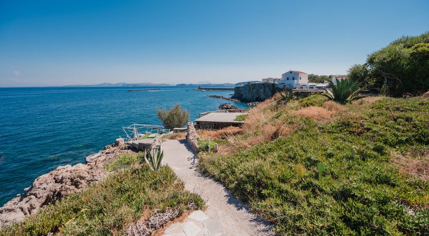 Photo of Blue Hearts Of Fiction