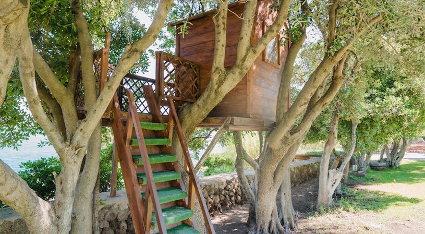 Photo of Blue Hearts Of Fiction