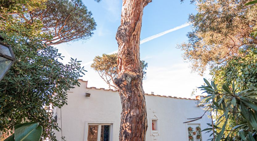 Photo of Blue Hearts Of Fiction