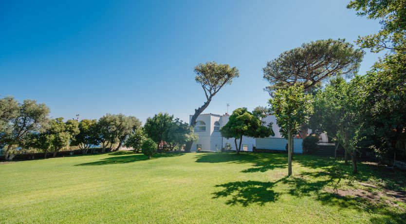 Photo of Blue Hearts Of Fiction