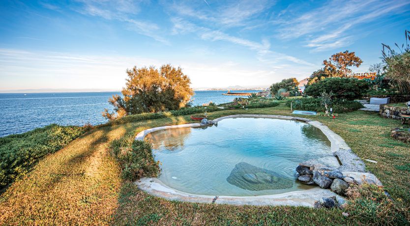 Photo of Blue Hearts Of Fiction