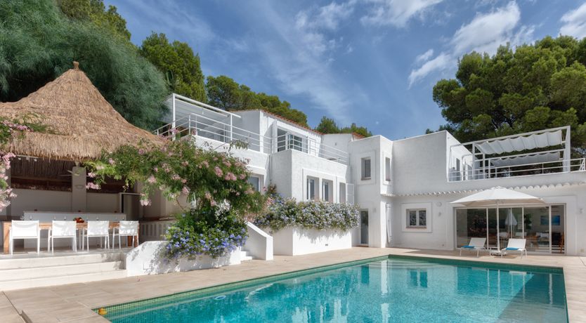 Photo of Mimosa Trees