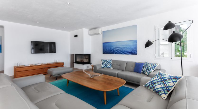 Photo of Mimosa Trees