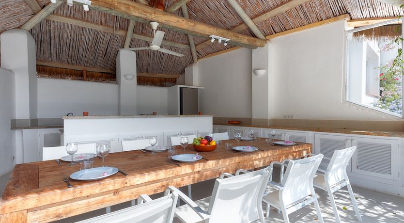 Photo of Mimosa Trees