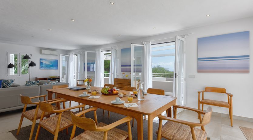 Photo of Mimosa Trees