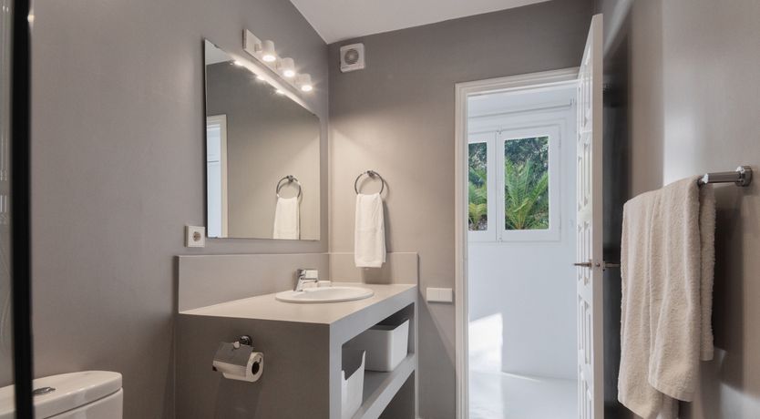 Photo of Mimosa Trees