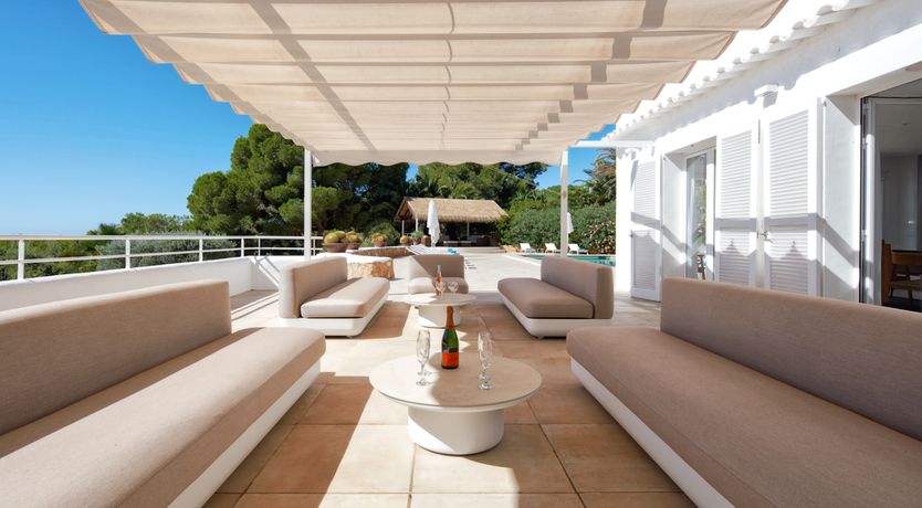 Photo of Mimosa Trees