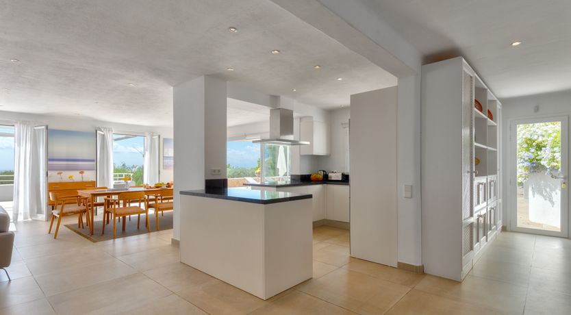 Photo of Mimosa Trees