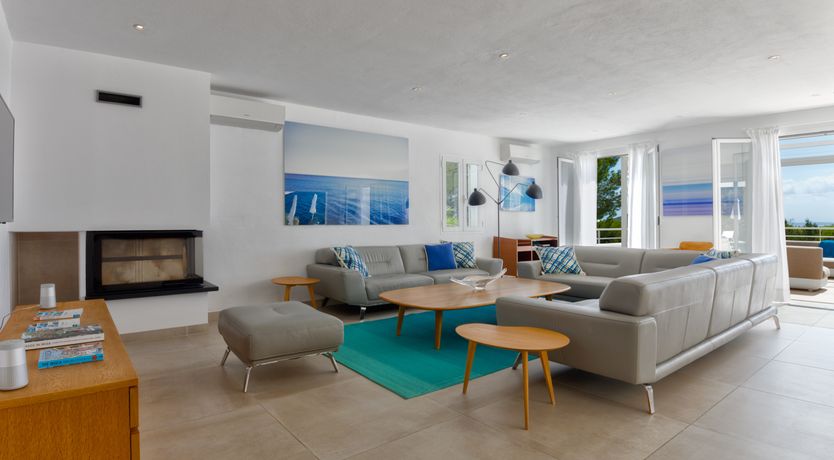 Photo of Mimosa Trees