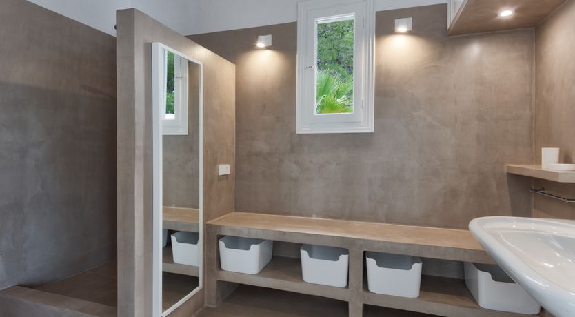 Photo of Mimosa Trees