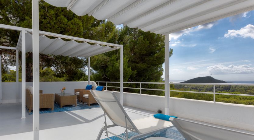 Photo of Mimosa Trees