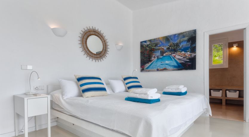 Photo of Mimosa Trees