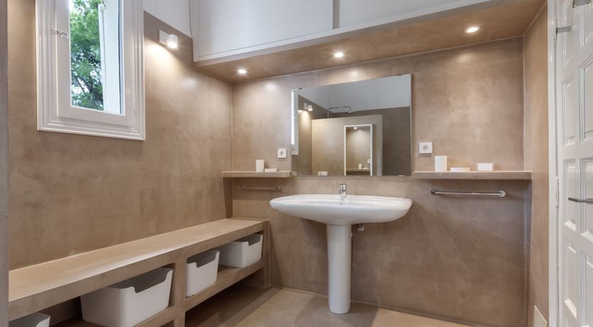 Photo of Mimosa Trees